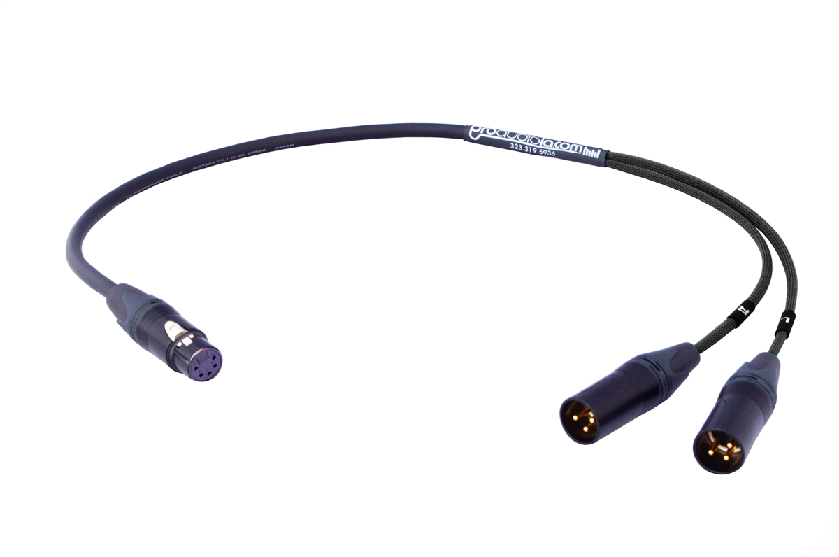 Remote Audio 5-Pin Stereo XLR Female to Dual XLR Male Y-Cable - 25