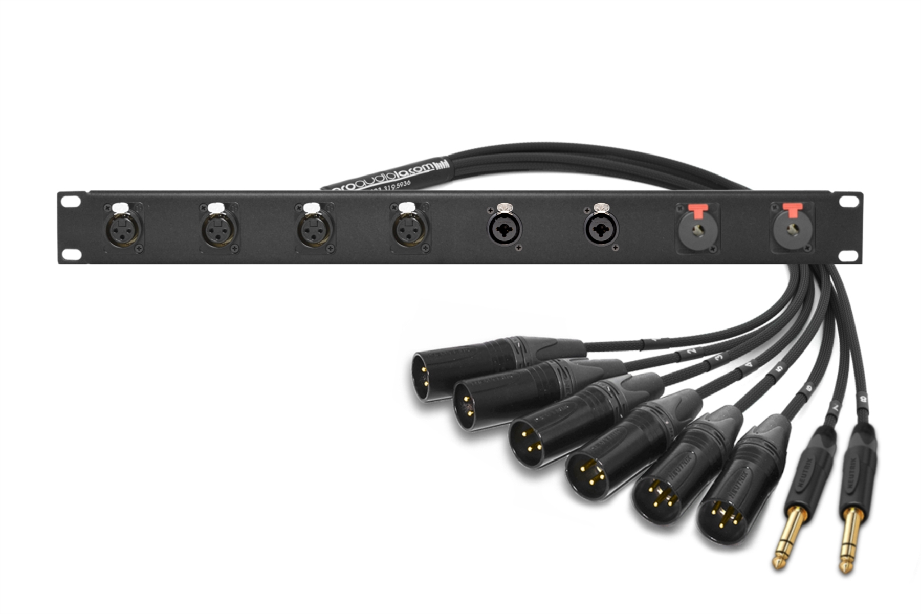 Made 8-Channel Panel Audio Rack Connectors Neutrik Analog from | LA 2932 & | Finish Gold Mogami Pro Premium |